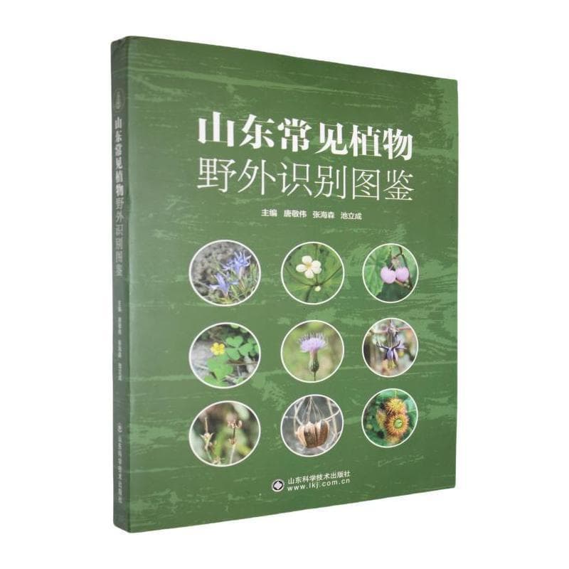山东常见植物野外识别图鉴