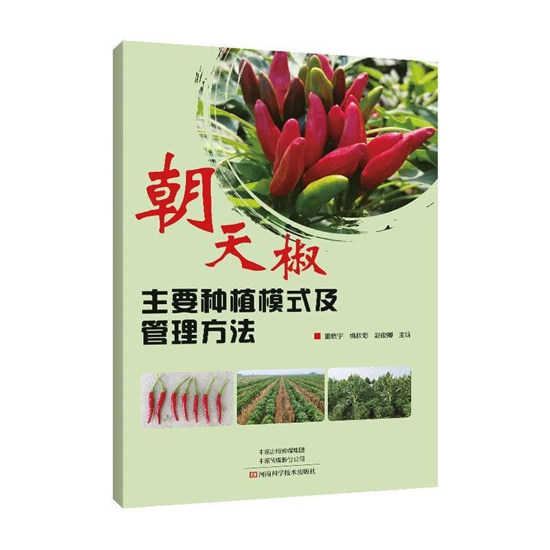 朝天椒主要种植模式及管理方法