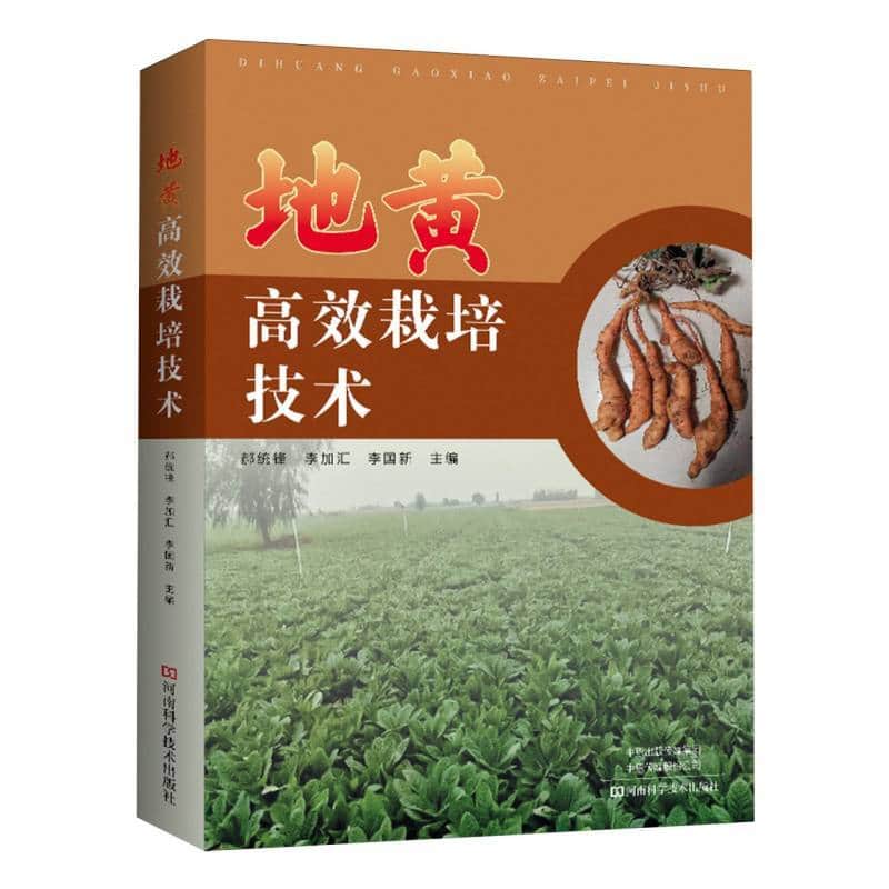 地黄高效栽培技术