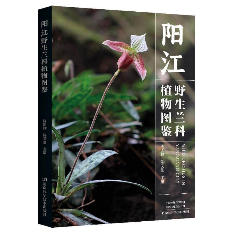 阳江野生兰科植物图鉴