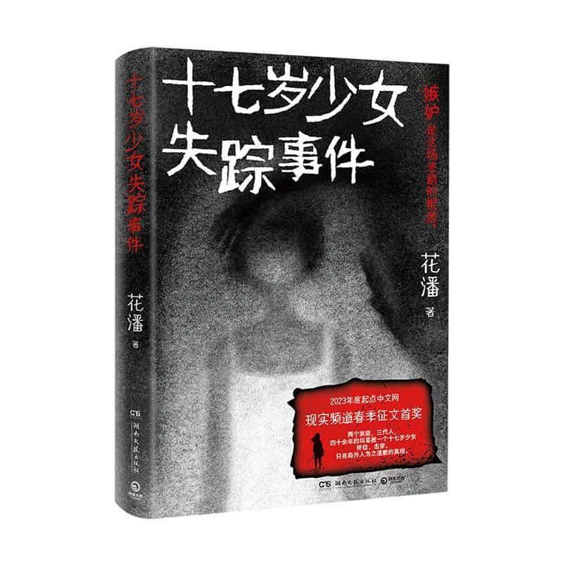 十七岁少女失踪事件