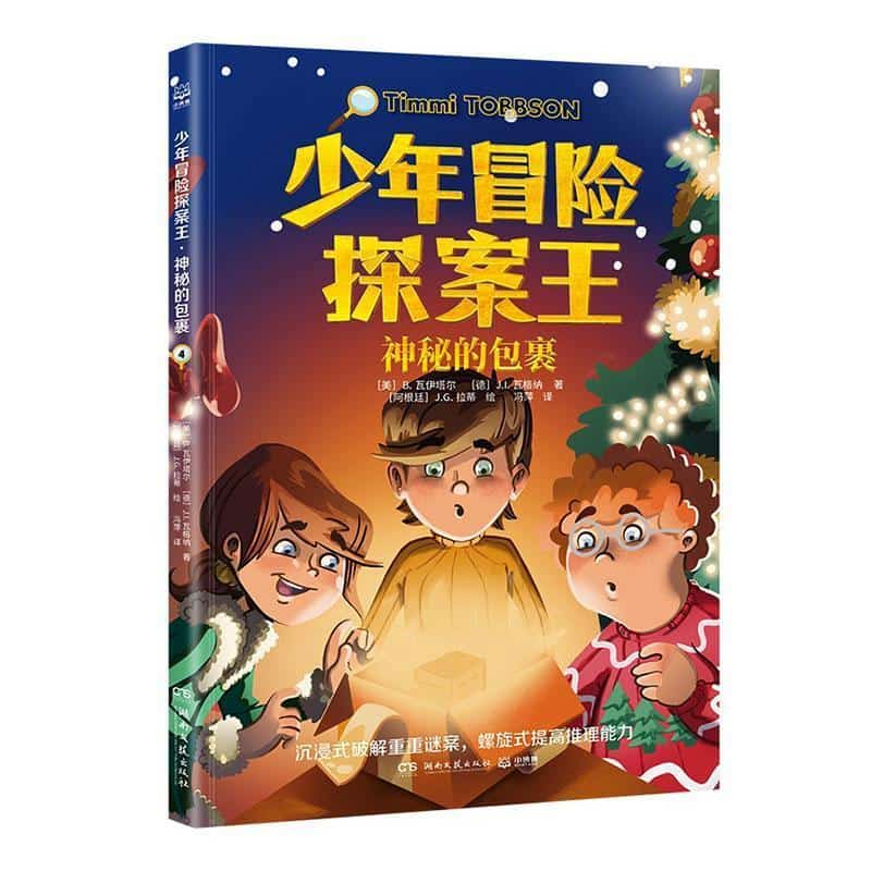 少年冒险探案王(4):神秘的包裹