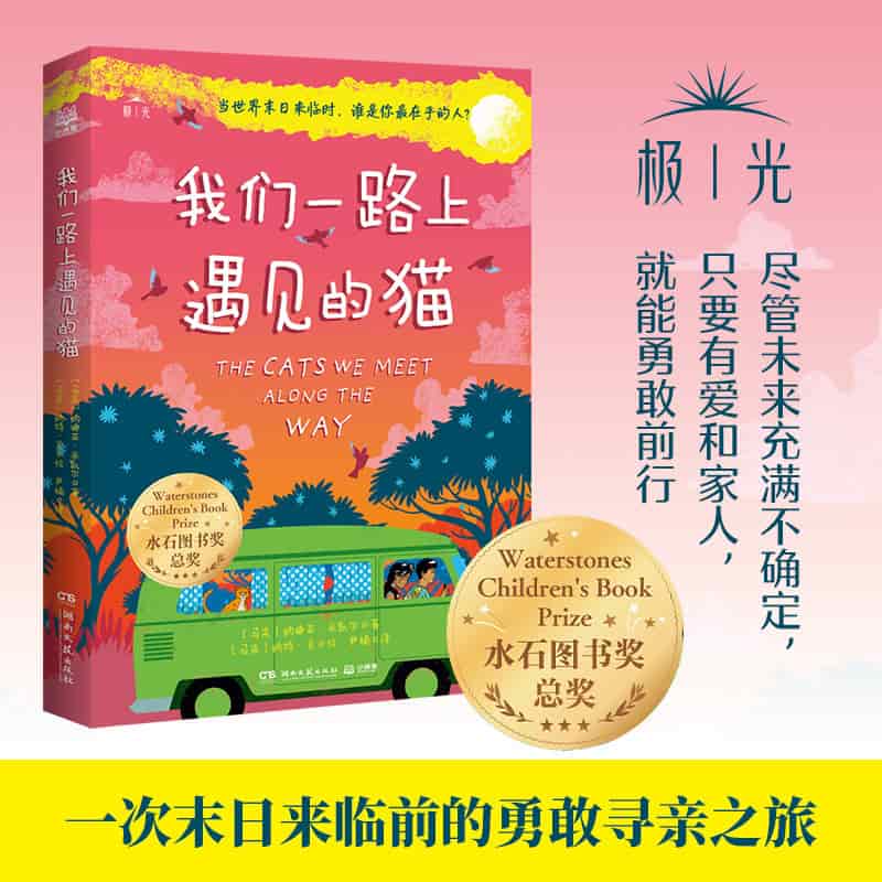 我们一路上遇见的猫