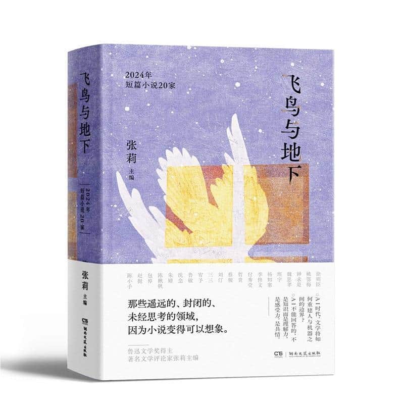 飞鸟与地下—2024年短篇小说20家: