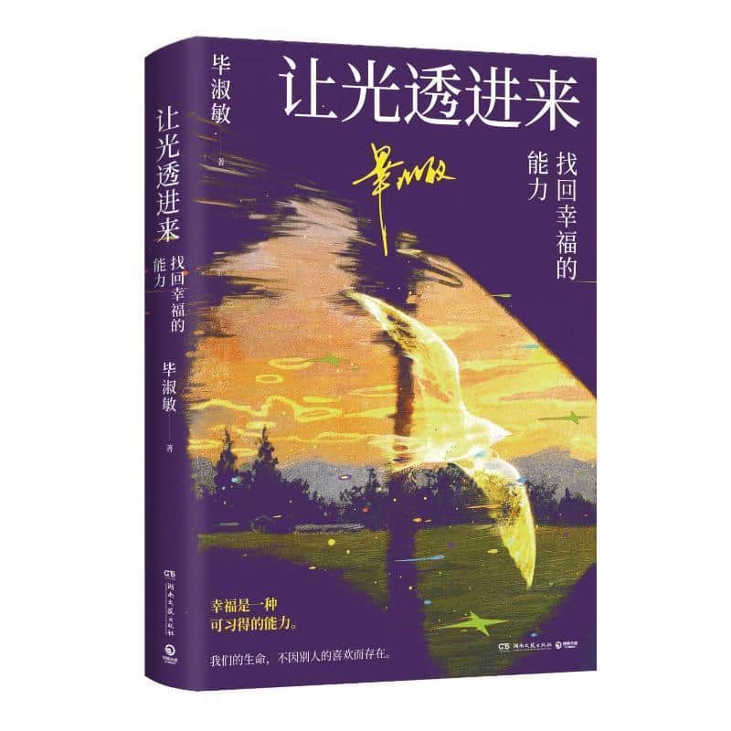让光透进来—找回幸福的能力: