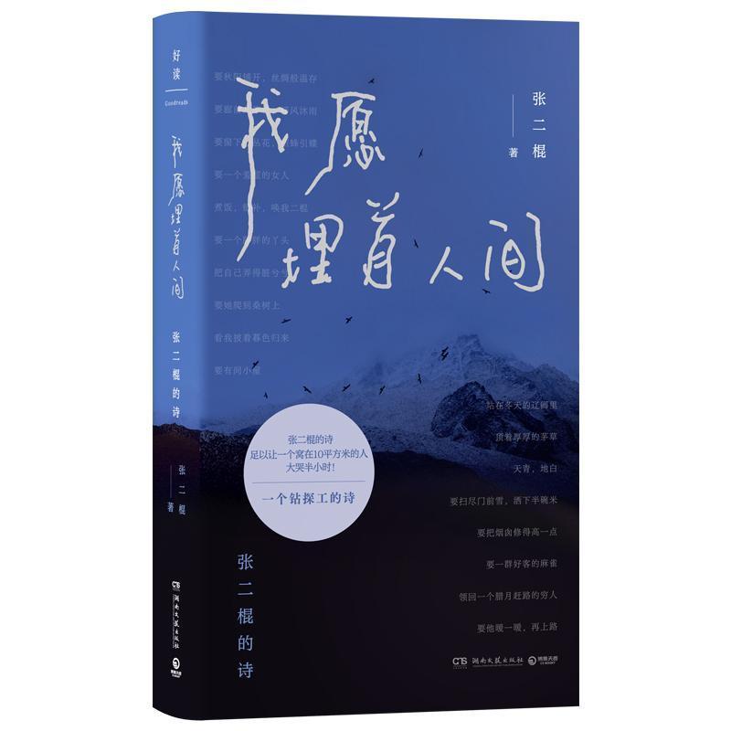 我愿埋首人间—张二棍的诗:
