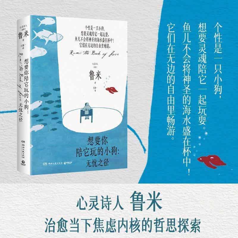 想要你陪它玩的小狗—无忧之径