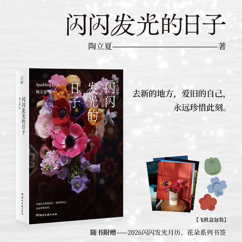 闪闪发光的日子