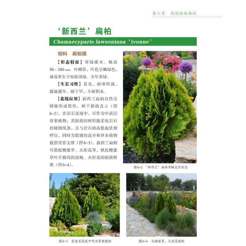 花境营建实用技术