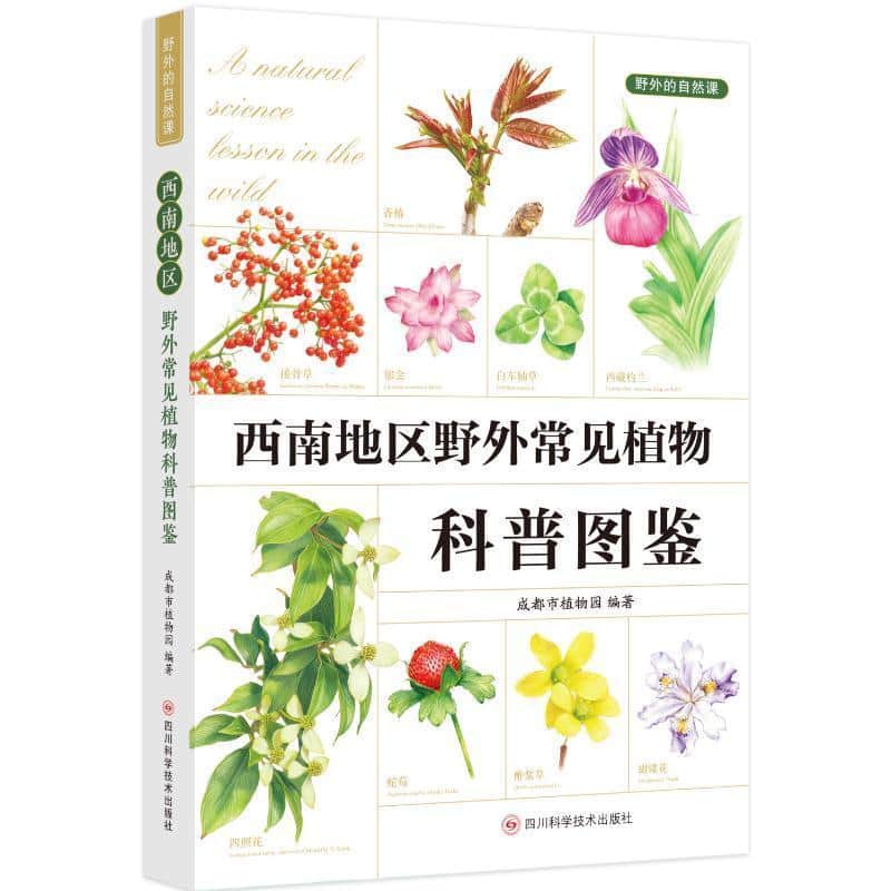 野外的自然课—西南地区野外常见植物科普图鉴