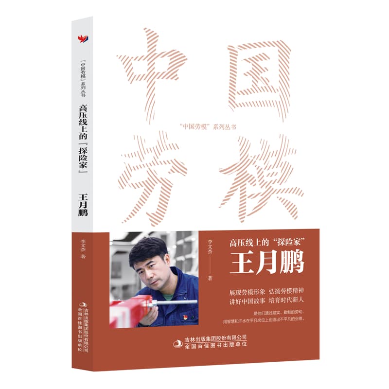 高压线上的“探险家”:王月鹏