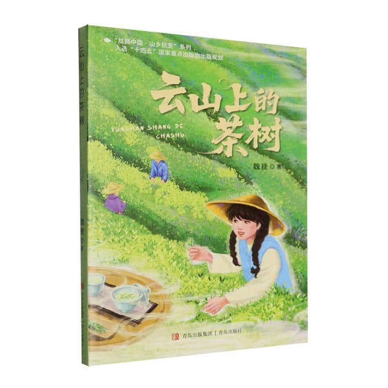 云山上的茶树