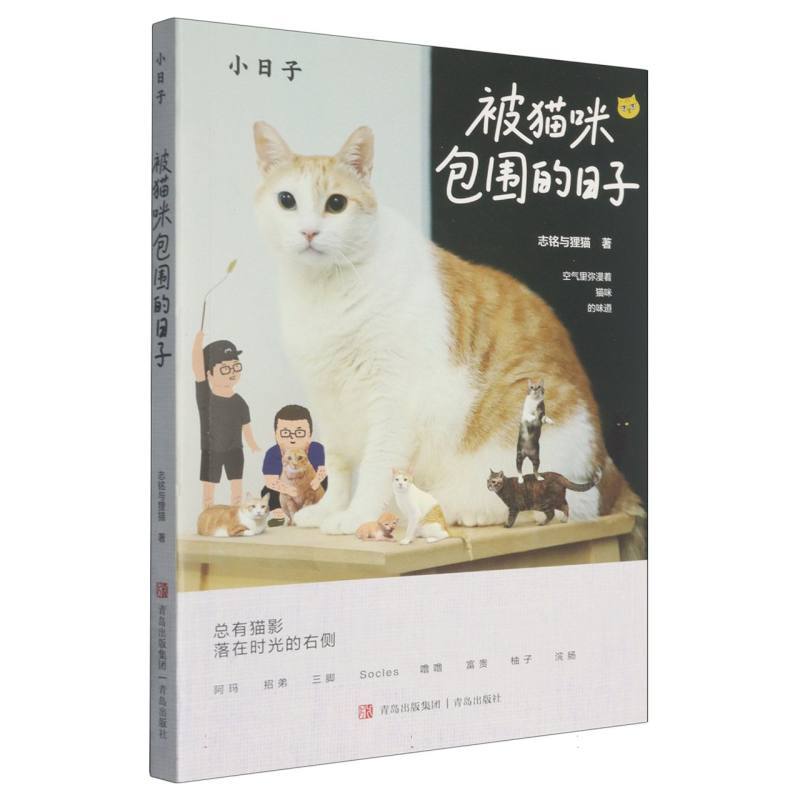被猫咪包围的日子