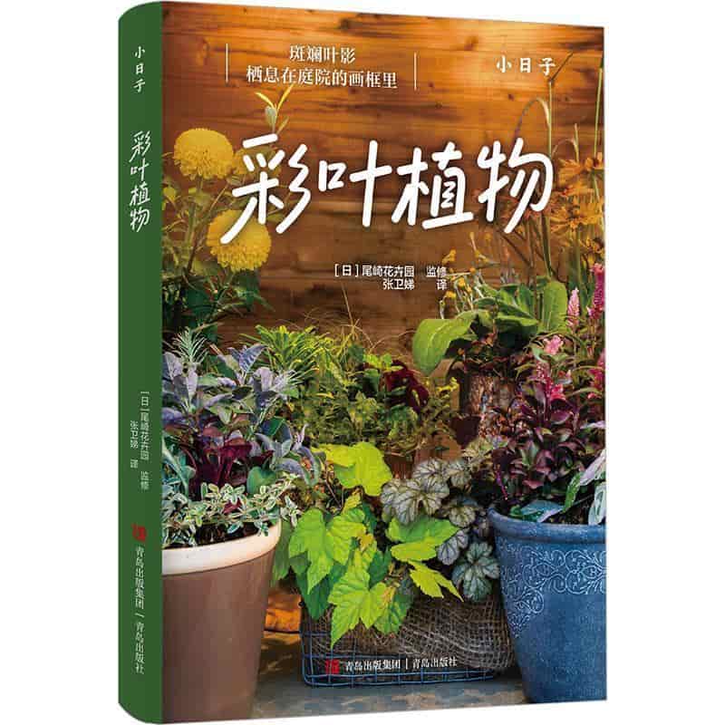 彩叶植物