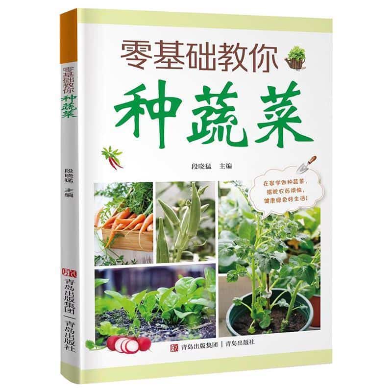 零基础教你种蔬菜