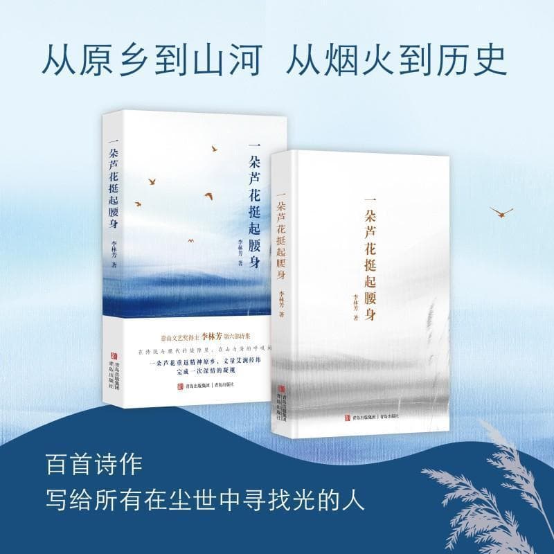 一朵芦花挺起腰身