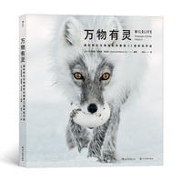 万物有灵—国际野生生物摄影年赛第53届获奖作品—photographer of the year portfolio 27