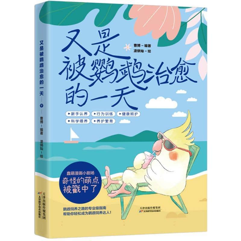 又是被鹦鹉治愈的一天