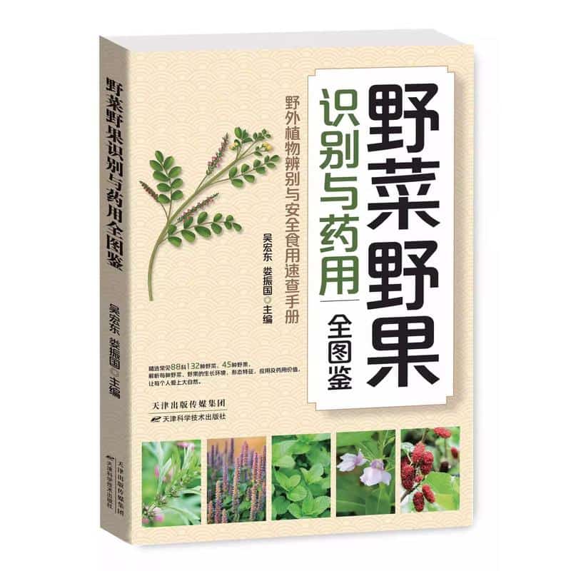 野菜野果识别与药用全图鉴