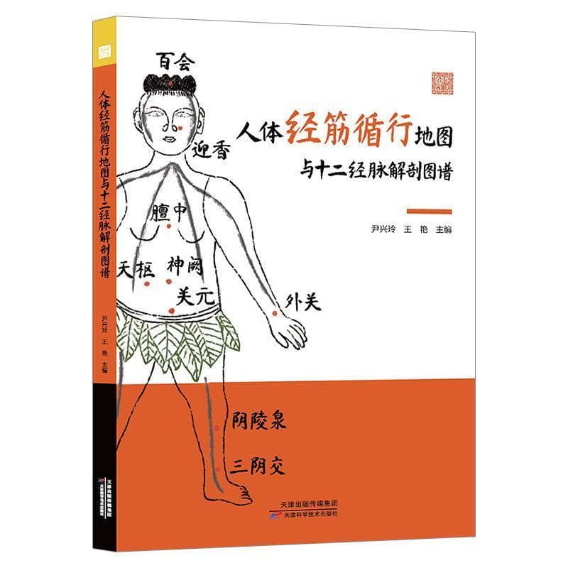 人体经筋循行地图与十二经脉解剖图谱