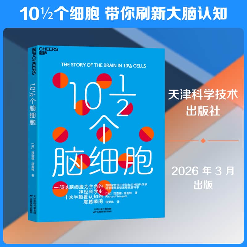 10?个脑细胞