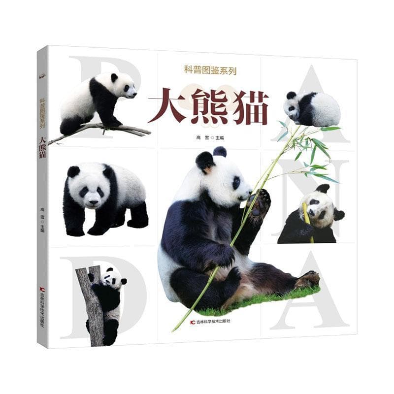 大熊猫
