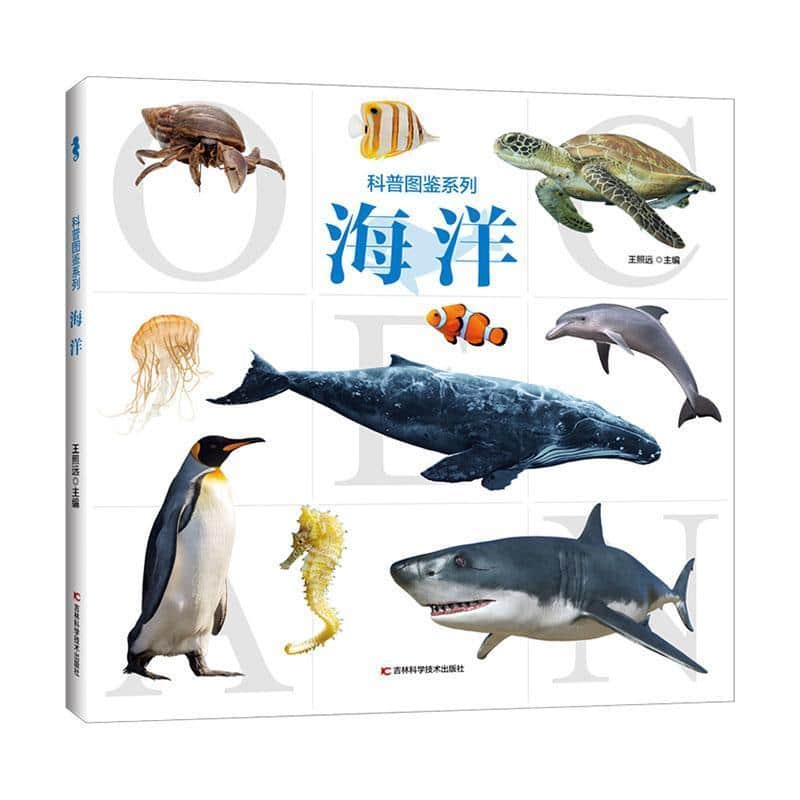 海洋