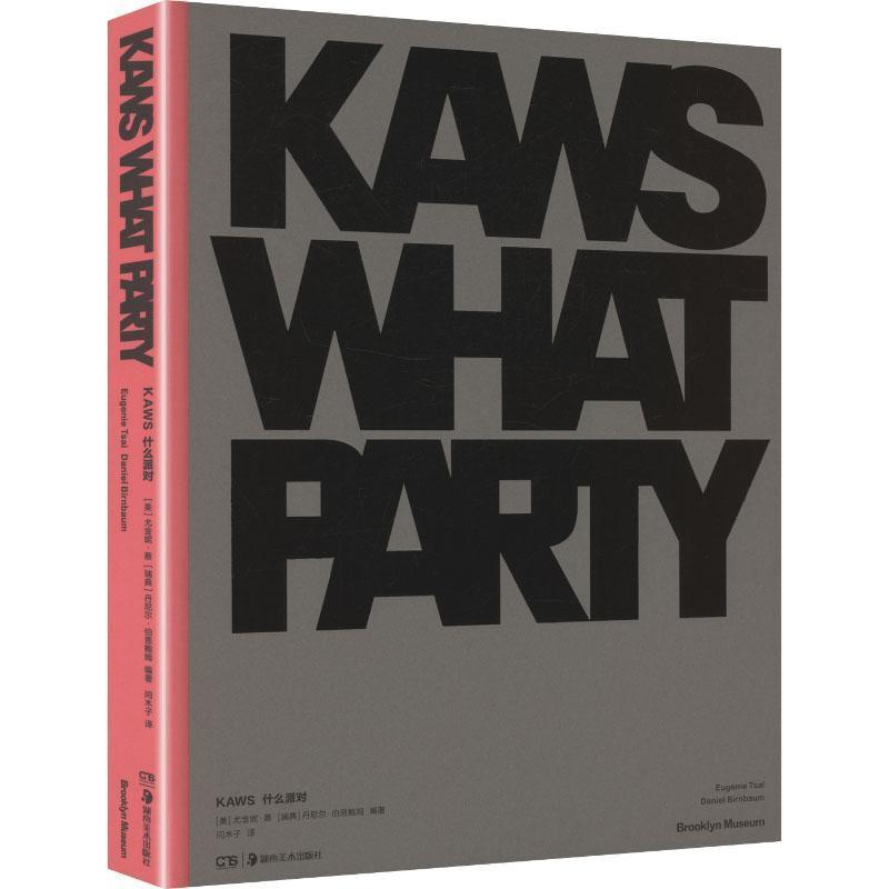KAWS—什么派对