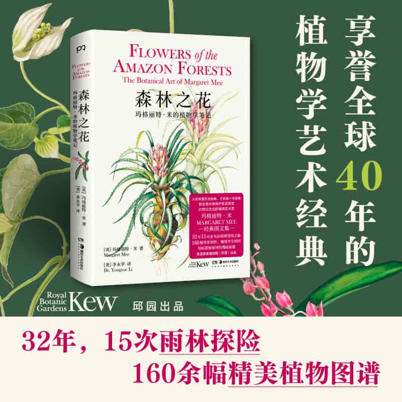 森林之花—玛格丽特·米的植物学笔记—the botanical art of Margaret Mee