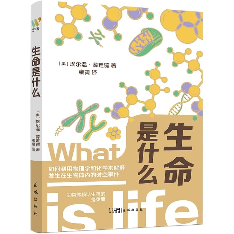 生命是什么