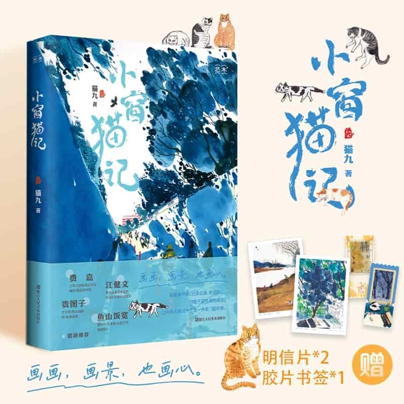 小窗猫记
