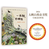 一木倒，万物生—树的第二次生命