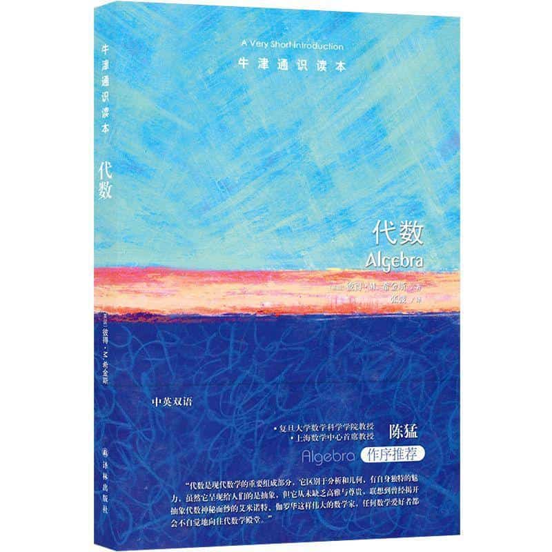 代数—a very short introduction