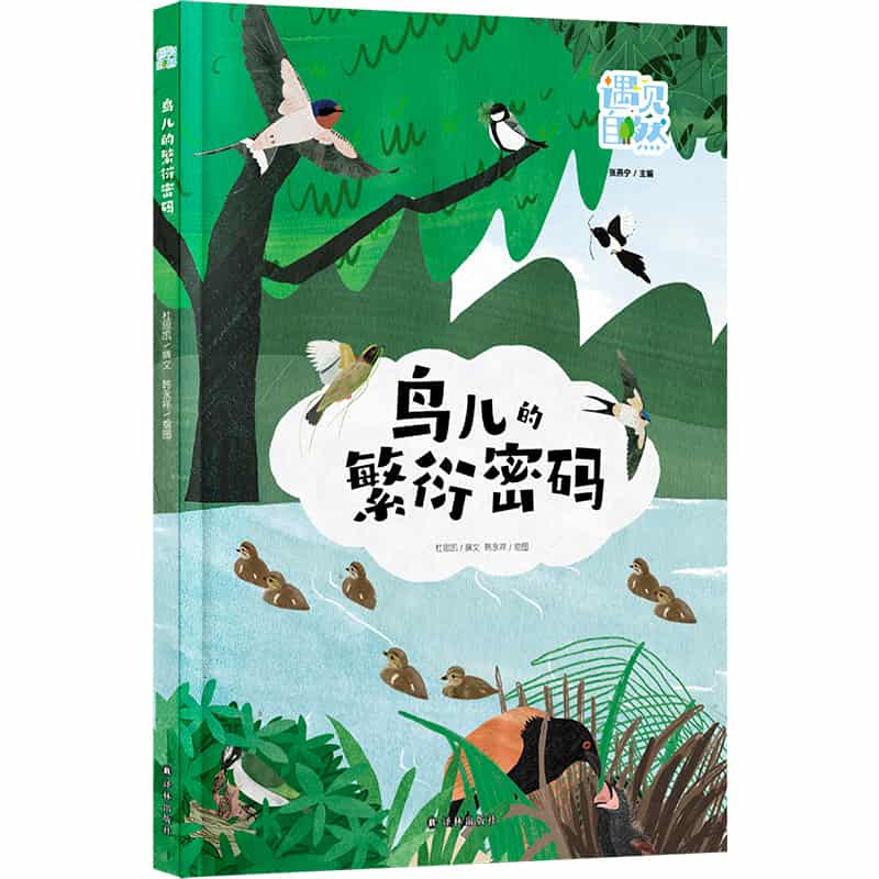 鸟儿的繁衍密码