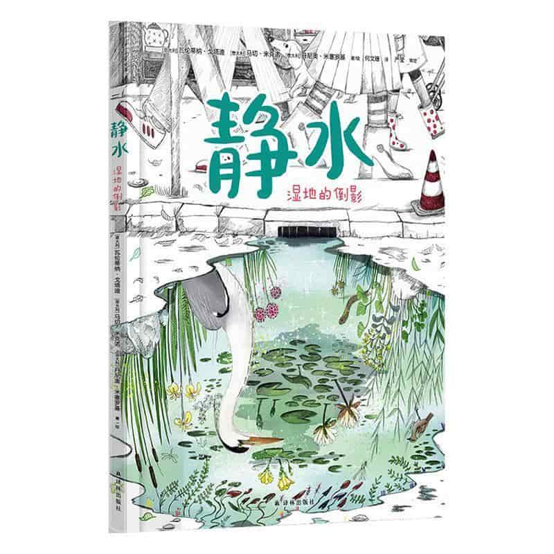 静水—湿地的倒影