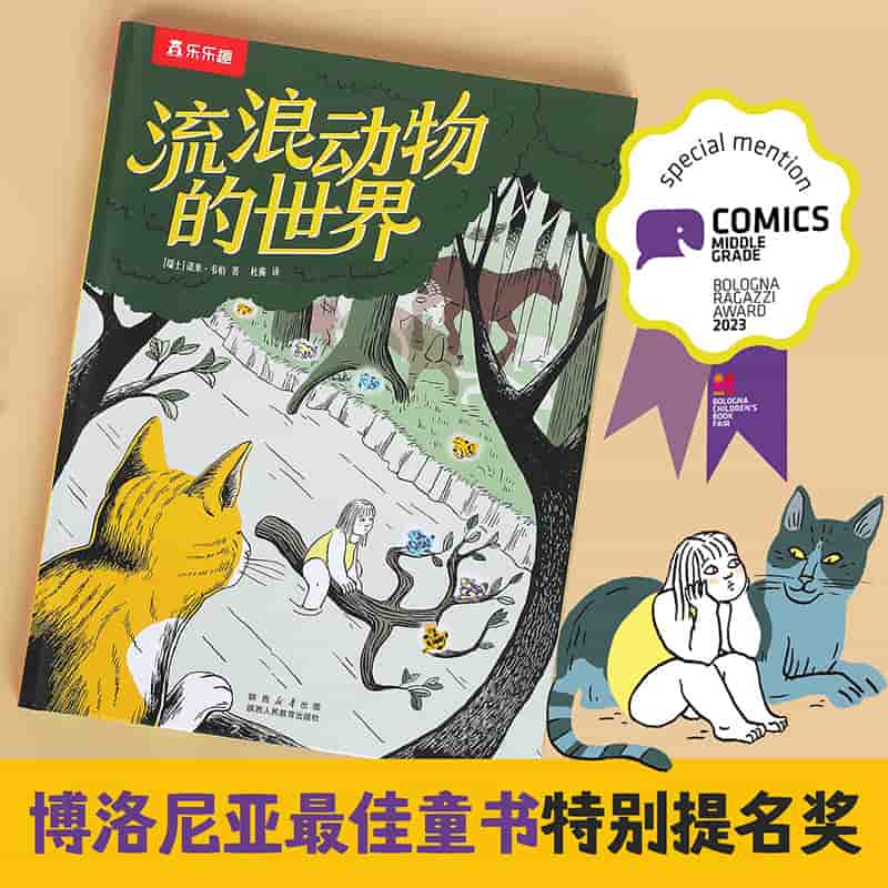 流浪动物的世界