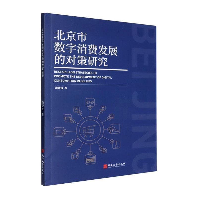 北京市数字消费发展的对策研究