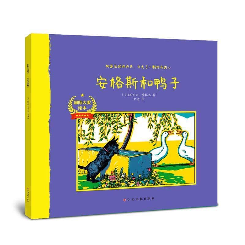 安格斯和鸭子