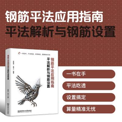 钢筋平法应用指南：平法解析与钢筋设置