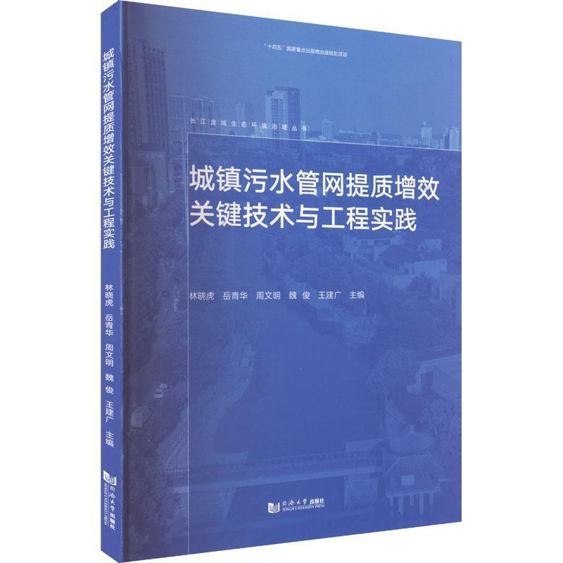 城镇污水管网提质增效关键技术与工程实践