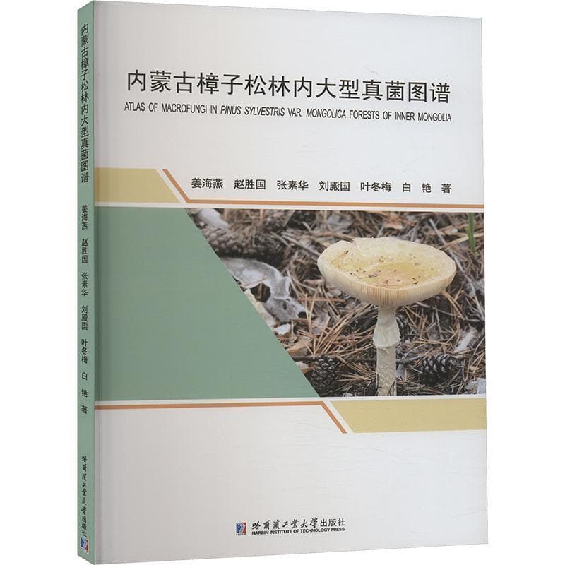 内蒙古樟子松林内大型真菌图谱