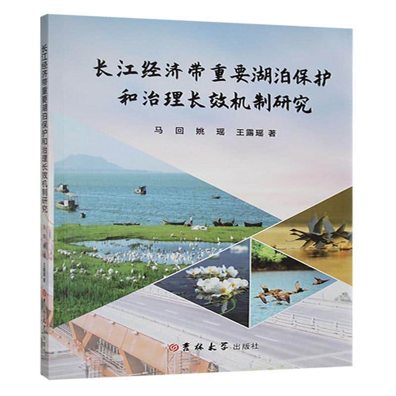 长江经济带重要湖泊保护和治理长效机制研究