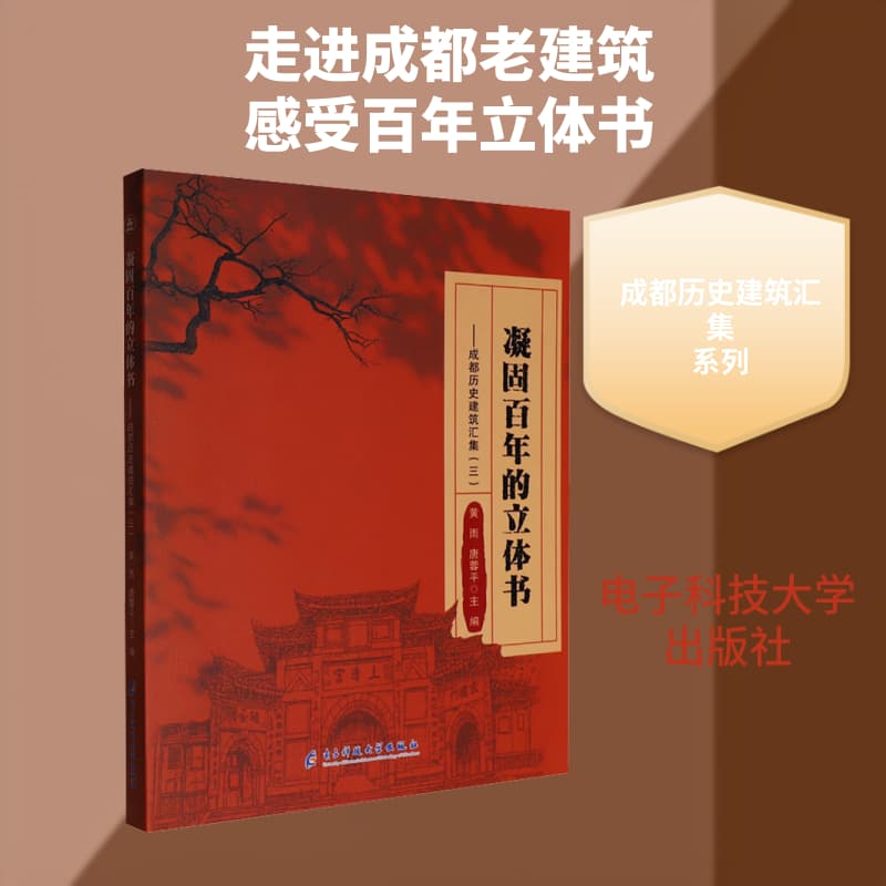 凝固百年的立体书—成都历史建筑汇集(三):
