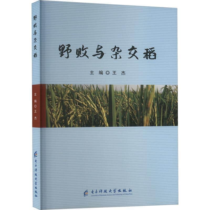 野败与杂交稻