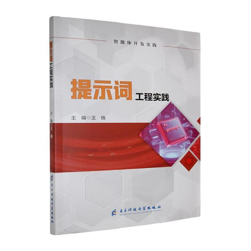 提示词工程实践