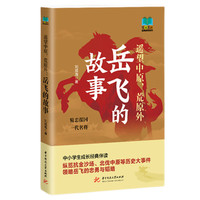 遥望中原，荒原外—岳飞的故事