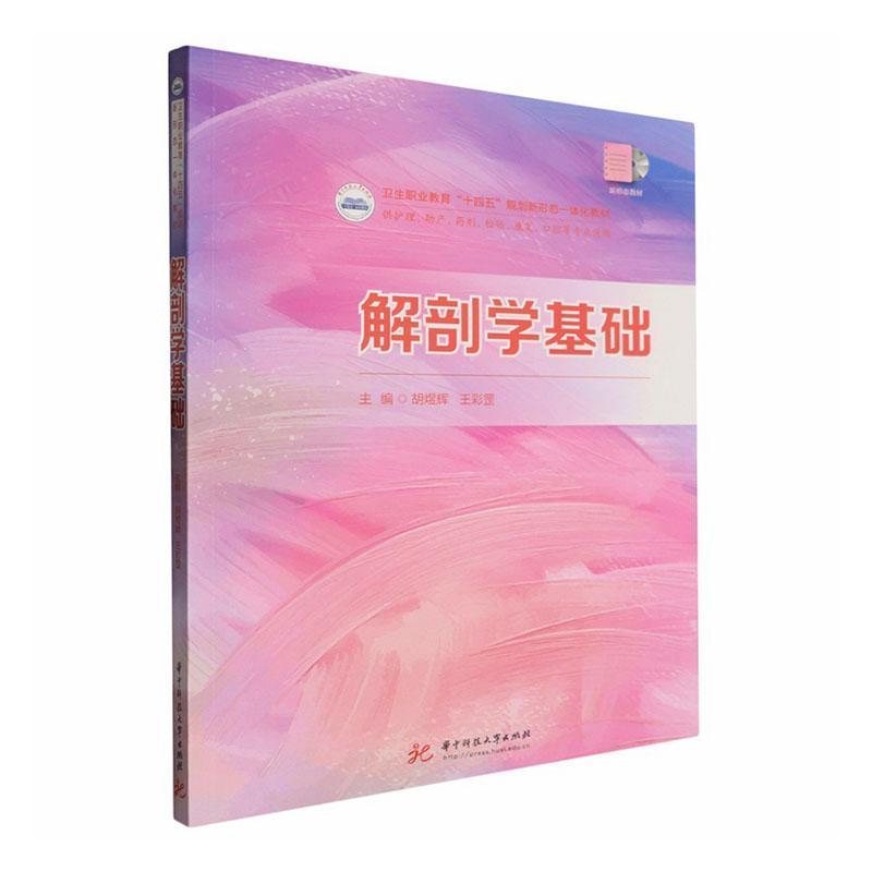 解剖学基础
