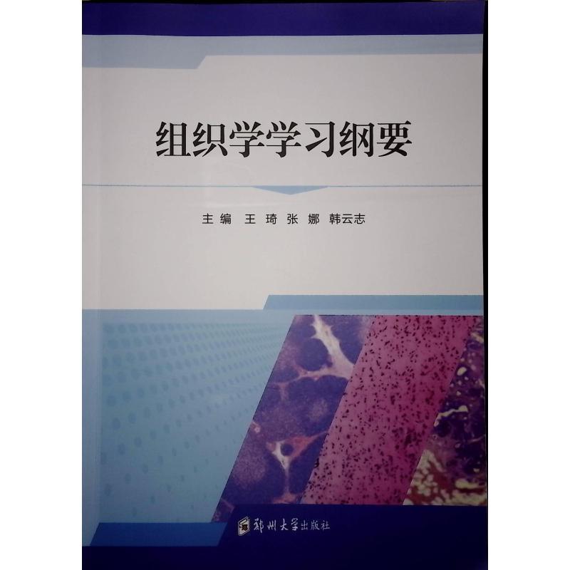 组织学学习纲要