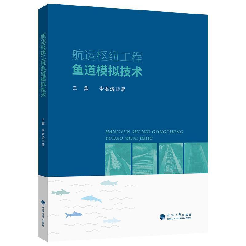 航运枢纽工程鱼道模拟技术