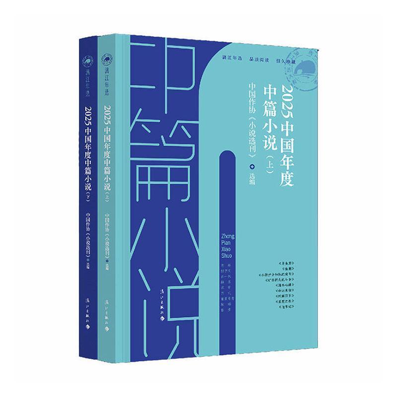 2025中国年度中篇小说